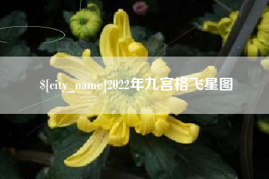 巴音郭楞2022年九宫格飞星图