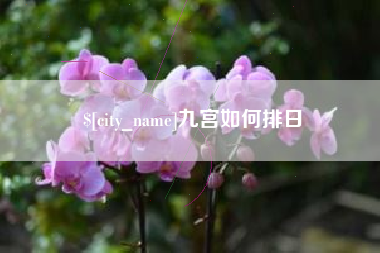 巴音郭楞九宫如何排日