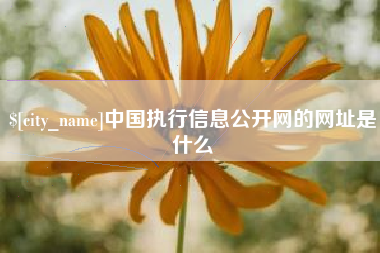 巴音郭楞中国执行信息公开网的网址是什么