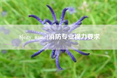 巴音郭楞消防专业视力要求