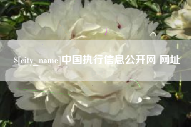 巴音郭楞中国执行信息公开网 网址