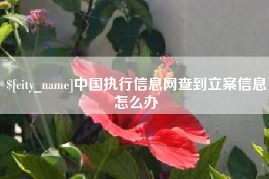 巴音郭楞中国执行信息网查到立案信息怎么办