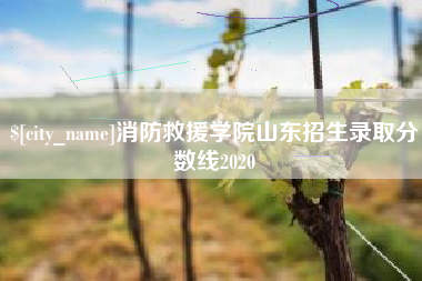 巴音郭楞消防救援学院山东招生录取分数线2020