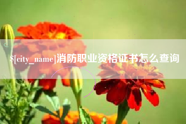 巴音郭楞消防职业资格证书怎么查询