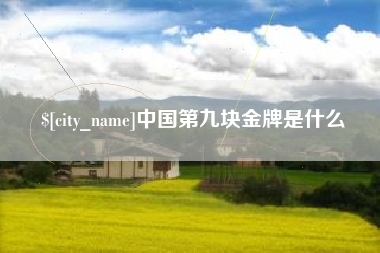 巴音郭楞中国第九块金牌是什么
