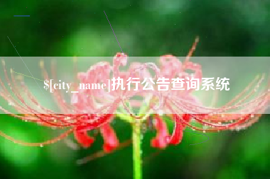 巴音郭楞执行公告查询系统