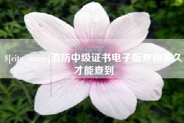 巴音郭楞消防中级证书电子版查询多久才能查到