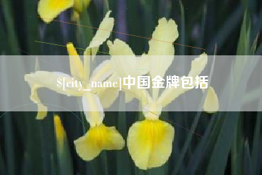 巴音郭楞中国金牌包括