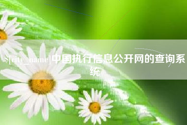 巴音郭楞中国执行信息公开网的查询系统