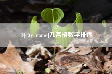 巴音郭楞九宫格数字排序