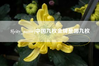 巴音郭楞中国九枚金牌是哪九枚