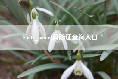 巴音郭楞消防证查询入口