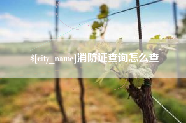 巴音郭楞消防证查询怎么查