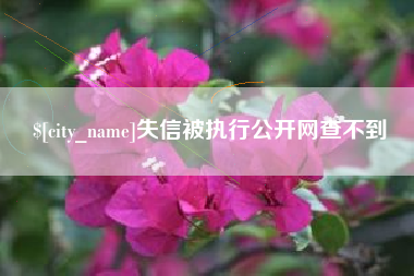巴音郭楞失信被执行公开网查不到