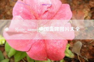 巴音郭楞中国金牌图片大全