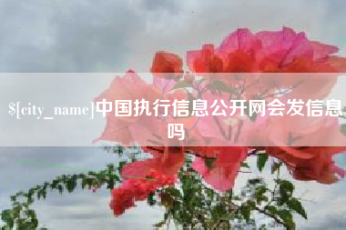 巴音郭楞中国执行信息公开网会发信息吗