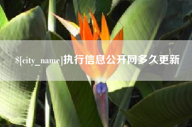 巴音郭楞执行信息公开网多久更新