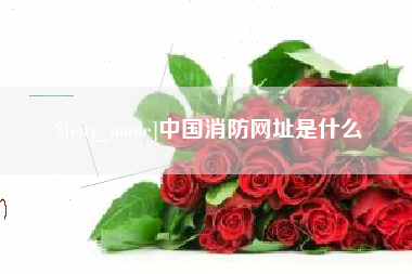 巴音郭楞中国消防网址是什么