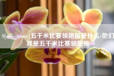 巴音郭楞五千米比赛领跑员是什么-他们就是五千米比赛领跑员