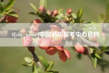 巴音郭楞中国消防报考中心官网