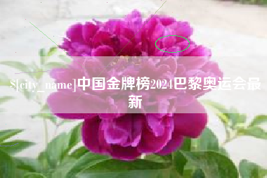 巴音郭楞中国金牌榜2024巴黎奥运会最新