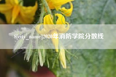巴音郭楞2020年消防学院分数线