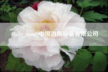 巴音郭楞中国消防设备有限公司