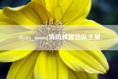 巴音郭楞消防救援总队王星