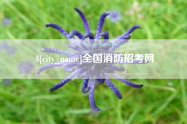 巴音郭楞全国消防招考网