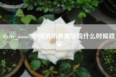 巴音郭楞中国消防救援学院什么时候政审