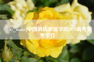 巴音郭楞中国消防救援学院2020高考报考条件
