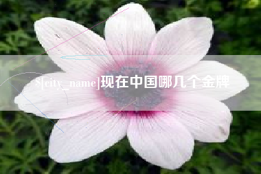 巴音郭楞现在中国哪几个金牌