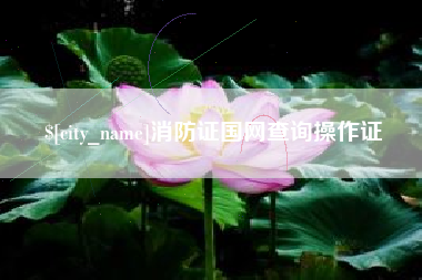 巴音郭楞消防证国网查询操作证
