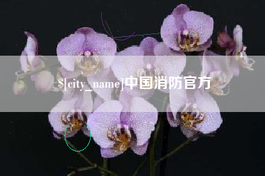 巴音郭楞中国消防官方
