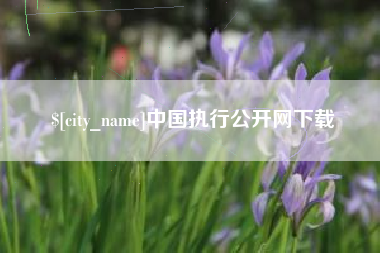 巴音郭楞中国执行公开网下载