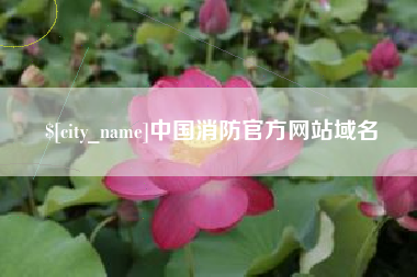 巴音郭楞中国消防官方网站域名