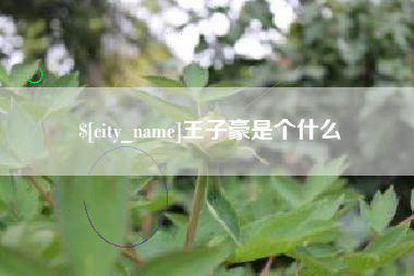 巴音郭楞王子豪是个什么