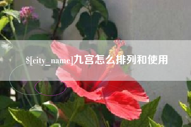 巴音郭楞九宫怎么排列和使用