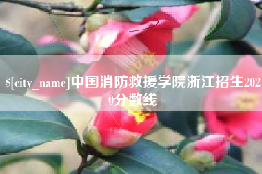 巴音郭楞中国消防救援学院浙江招生2020分数线