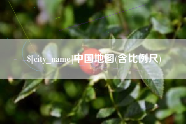 巴音郭楞中国地图(含比例尺)
