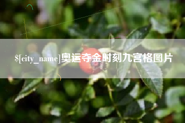 巴音郭楞奥运夺金时刻九宫格图片