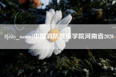 巴音郭楞中国消防救援学院河南省2020